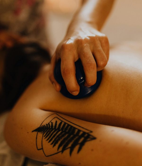 pexels-karolina-grabowska-6629531